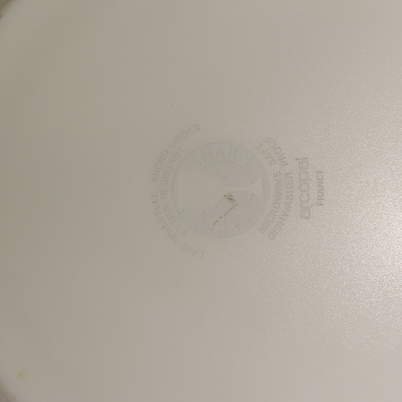 Two Acropal dinner plates - Picture 3 of 3